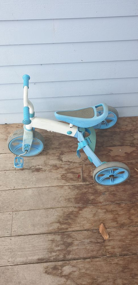 Tricycle Draisienne 10 Torpes (25)