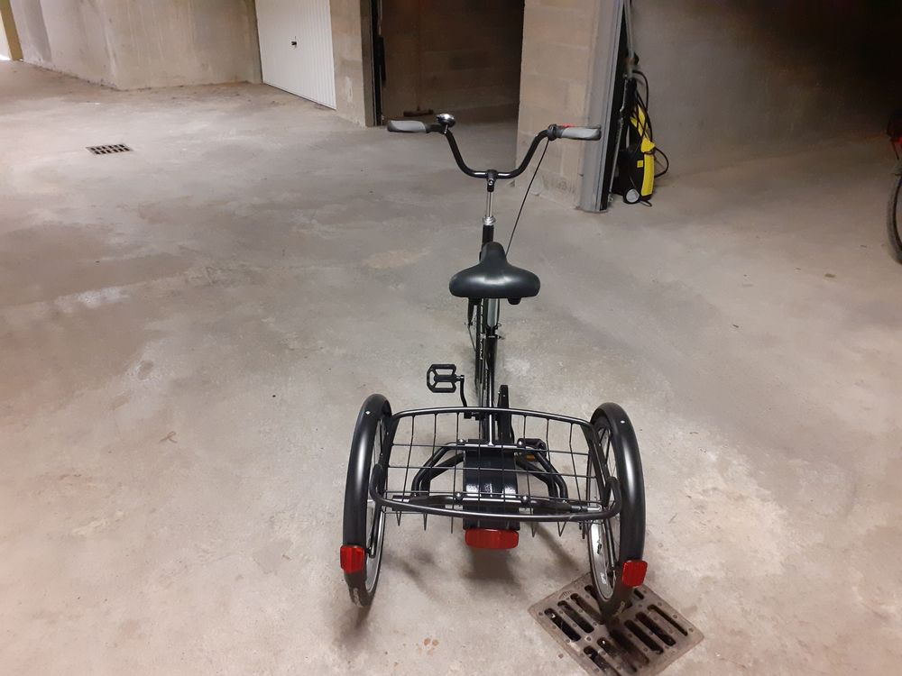 tricycle pour adulte 250 Semoy (45)
