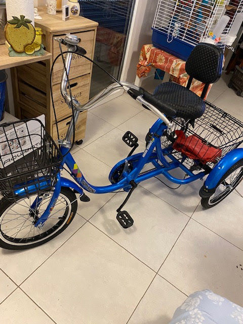 Tricycle 450 M�rignac (33)