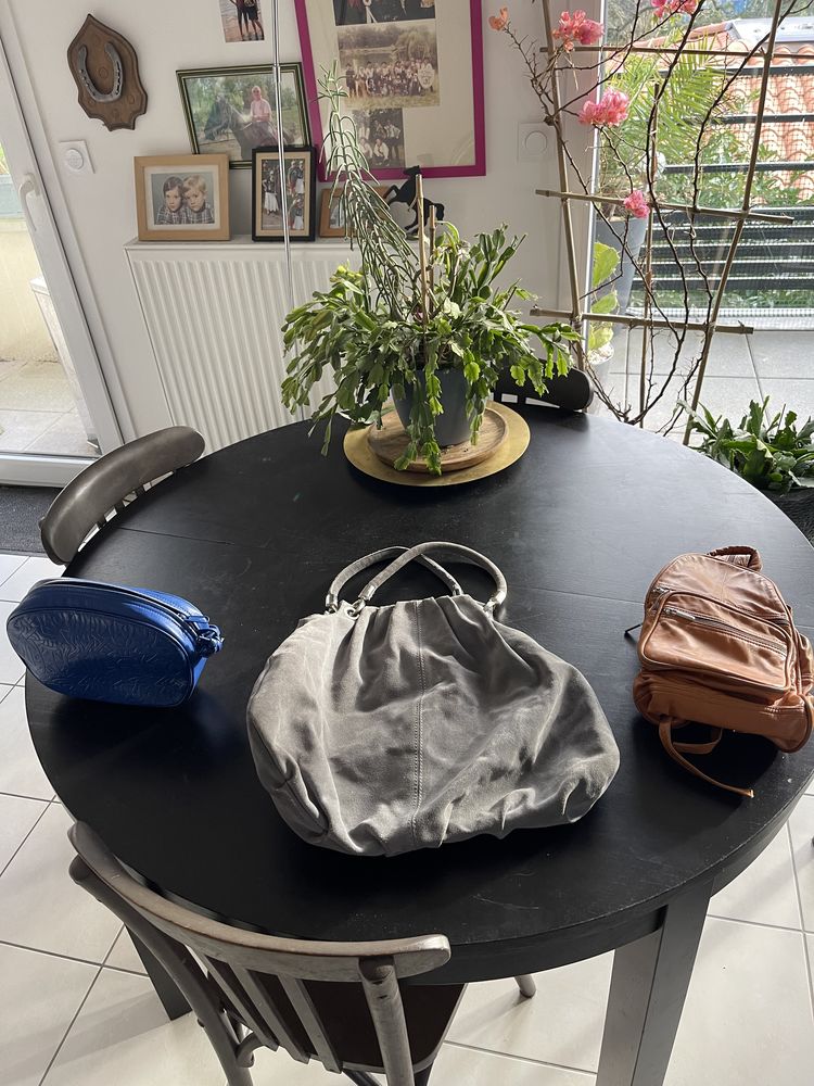 je trois sacs � main 60 Audenge (33)