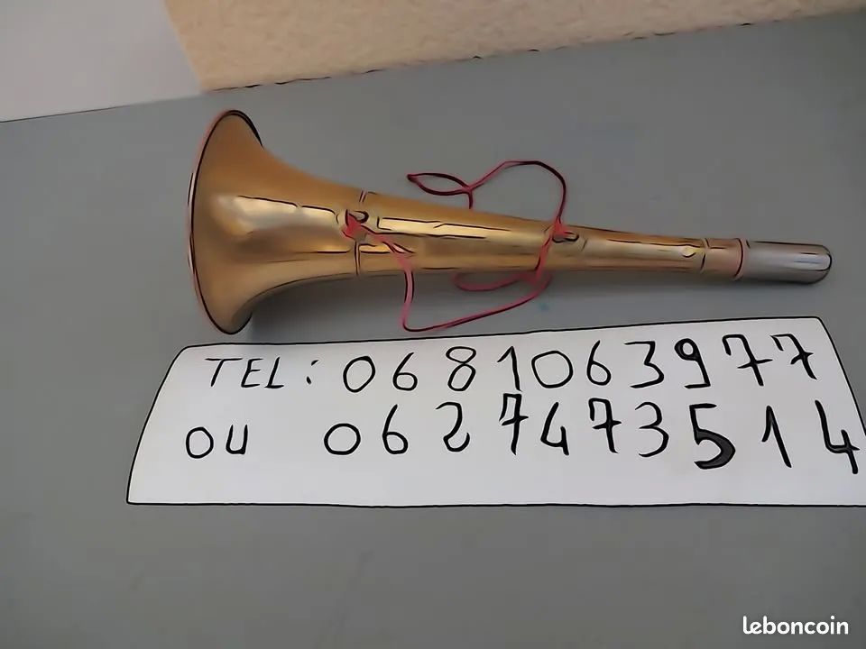 TROMPETTE DE CHASSE tel 0627473514 30 Jarnac (16)