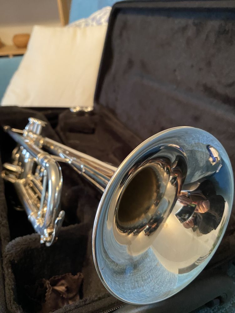 TROMPETTE 850 S�greville (31)