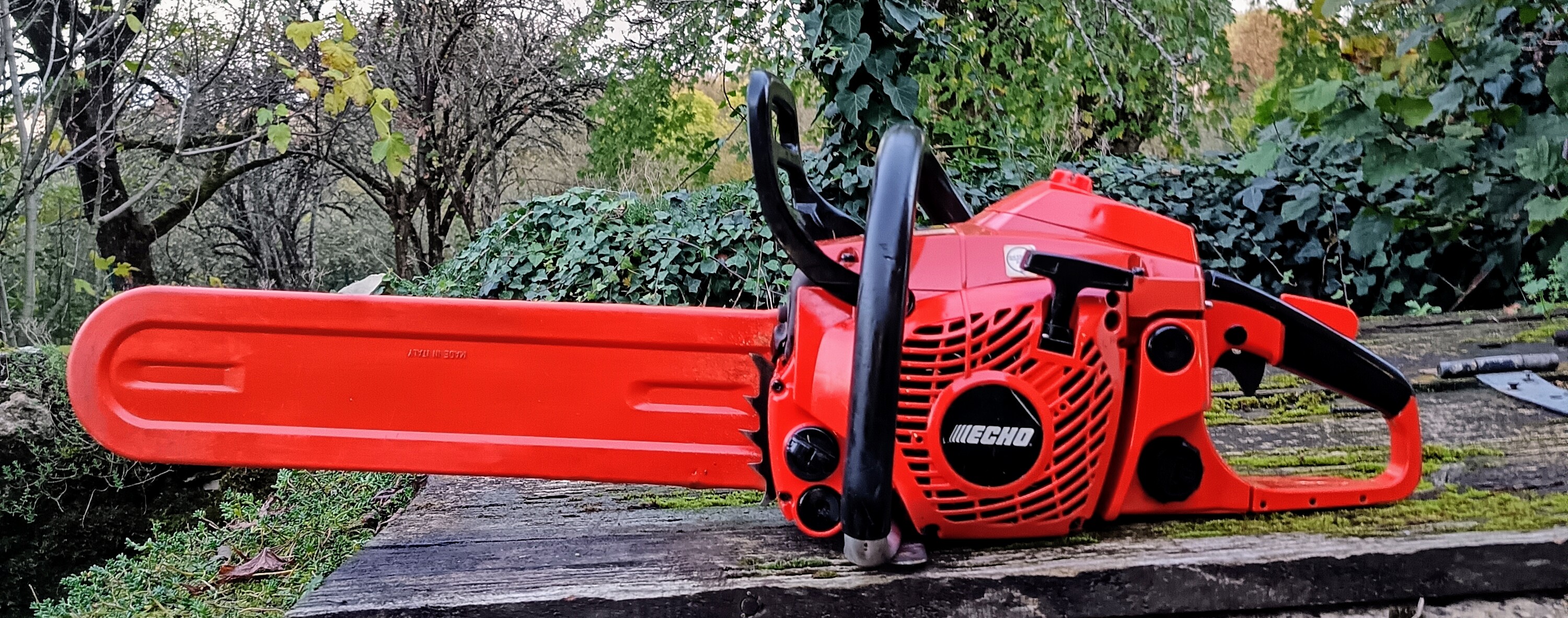 Tron�onneuse echo CS 450 SE 350 Foissac (12)