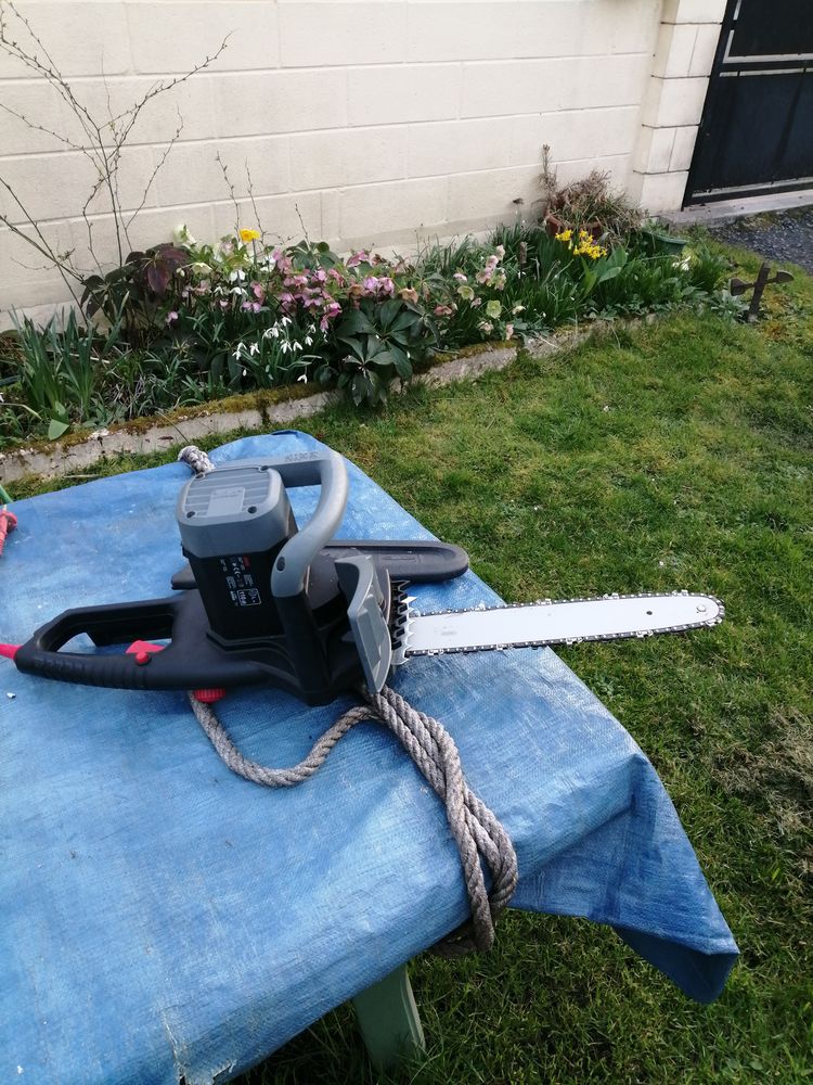 tronconneuse electrique 50 Saint-Gobain (02)