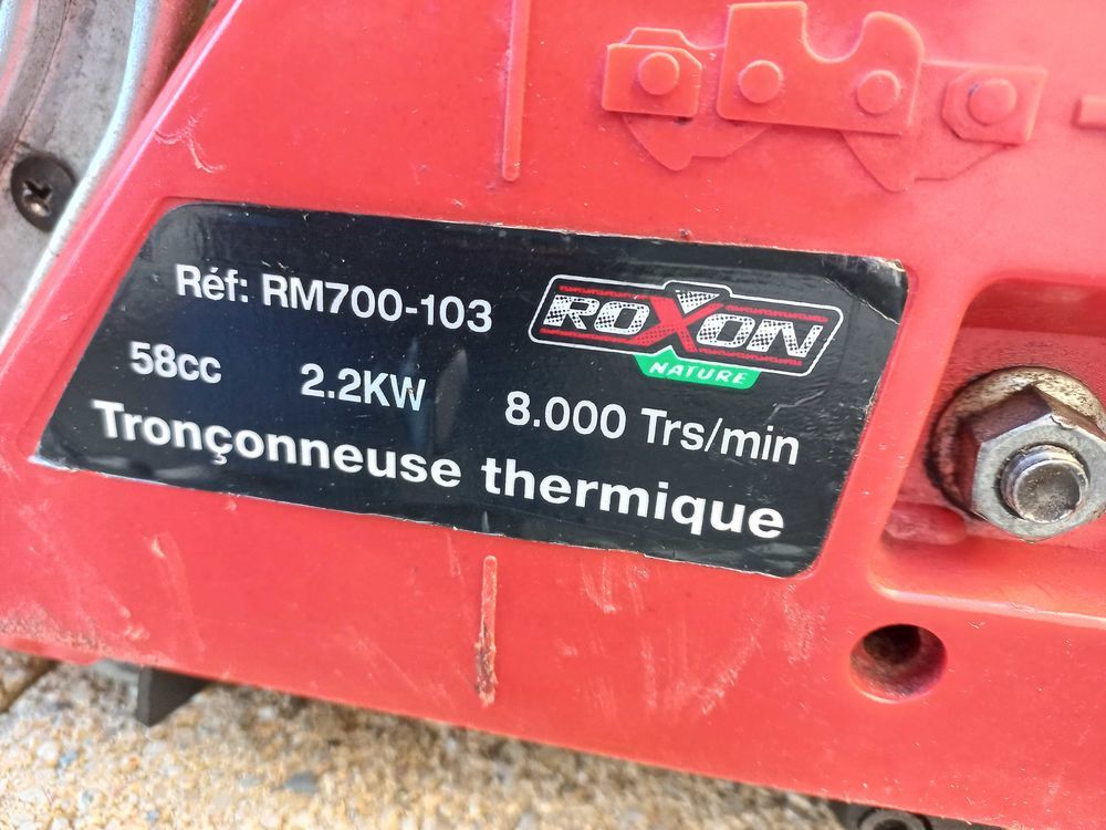 tron�onneuse thermique 65 Saintes (17)