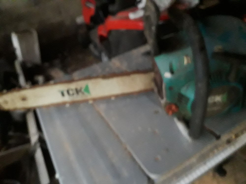 tron�onneuse thermique 60 St Aaron (22)