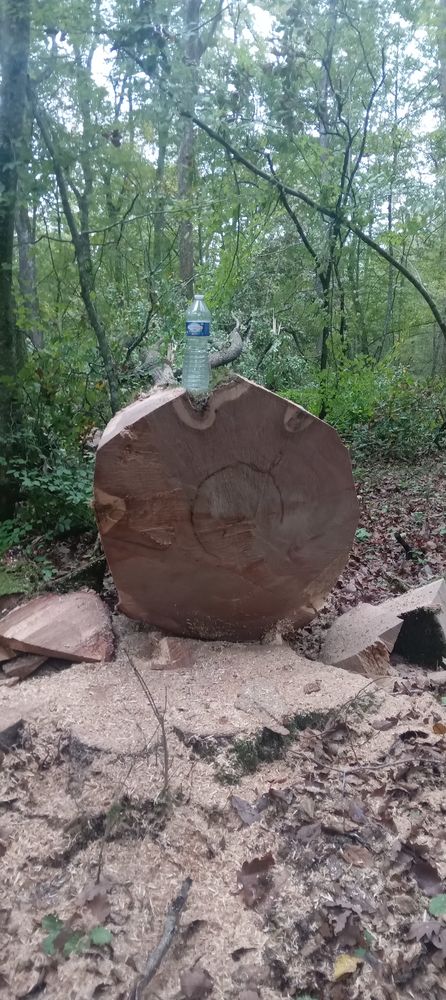 Tron�onneuse 900 Saint-Pierre-le-Mo�tier (58)