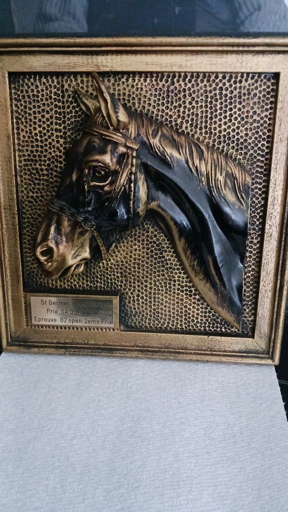 Troph�e de course de chevaux �quitation 2 �me prix 60 Neuville-sur-Sarthe (72)