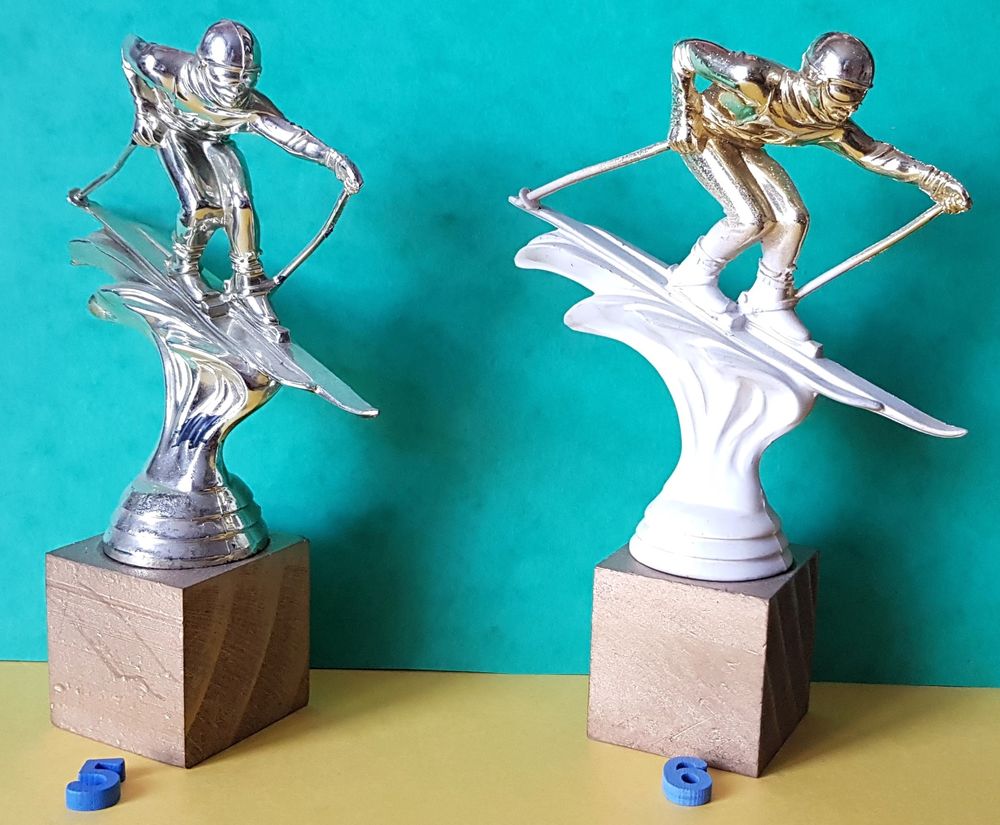 TROPHEE SKI de piste ou descente
7 Sassenage (38)