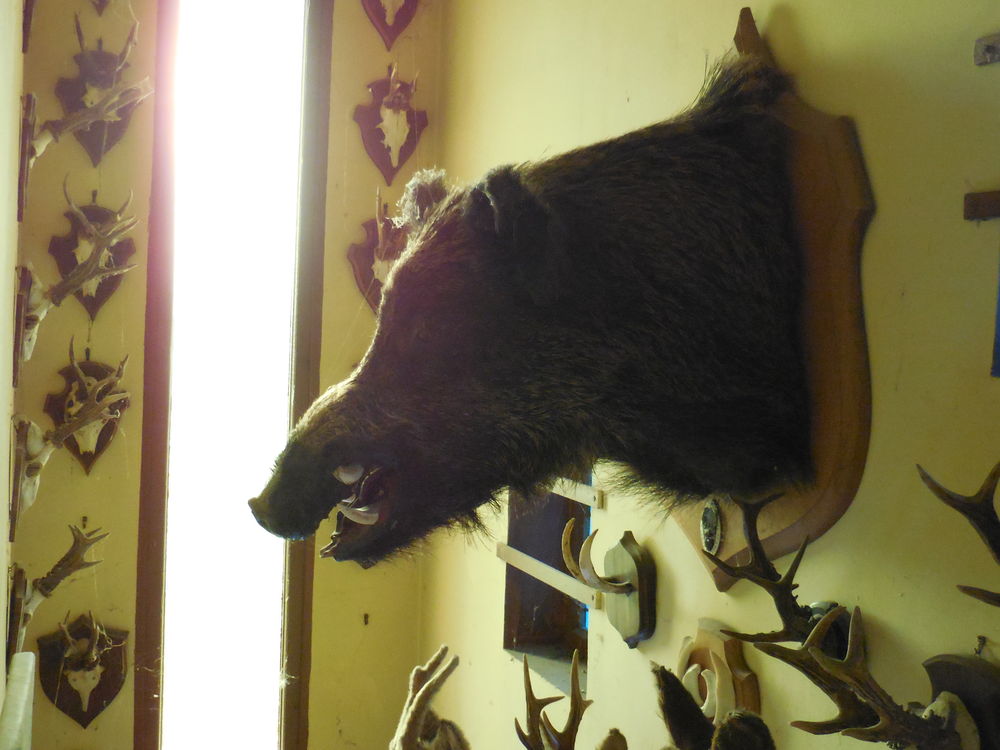 TROPH�E 0 Brin-sur-Seille (54)