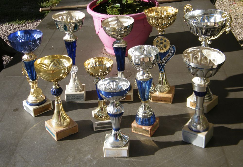 Troph�es et coupes 20 Droiturier (03)