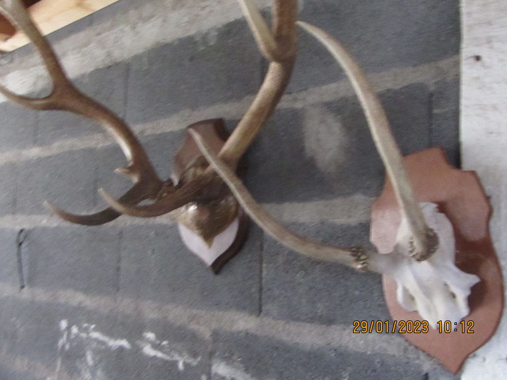 TROPHEES  DATE  1902/1903 100 Isdes (45)