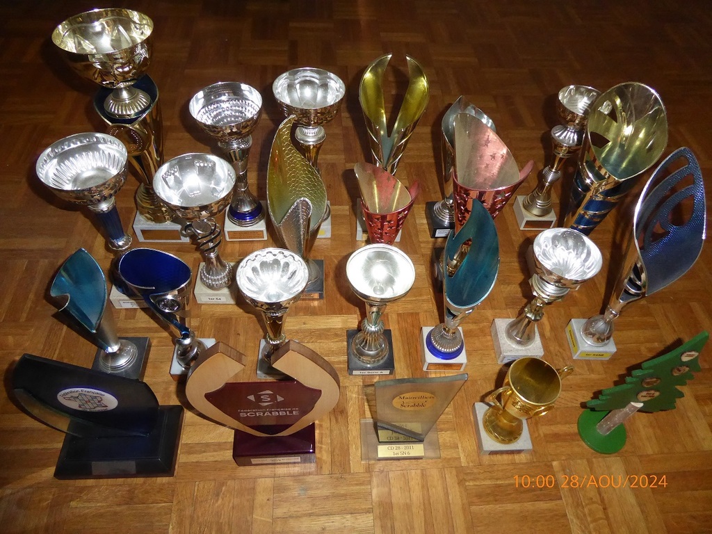 Lot de 18 Troph�es Divers Pour Collectionneurs ou D�coration 0 Paris 19 (75)