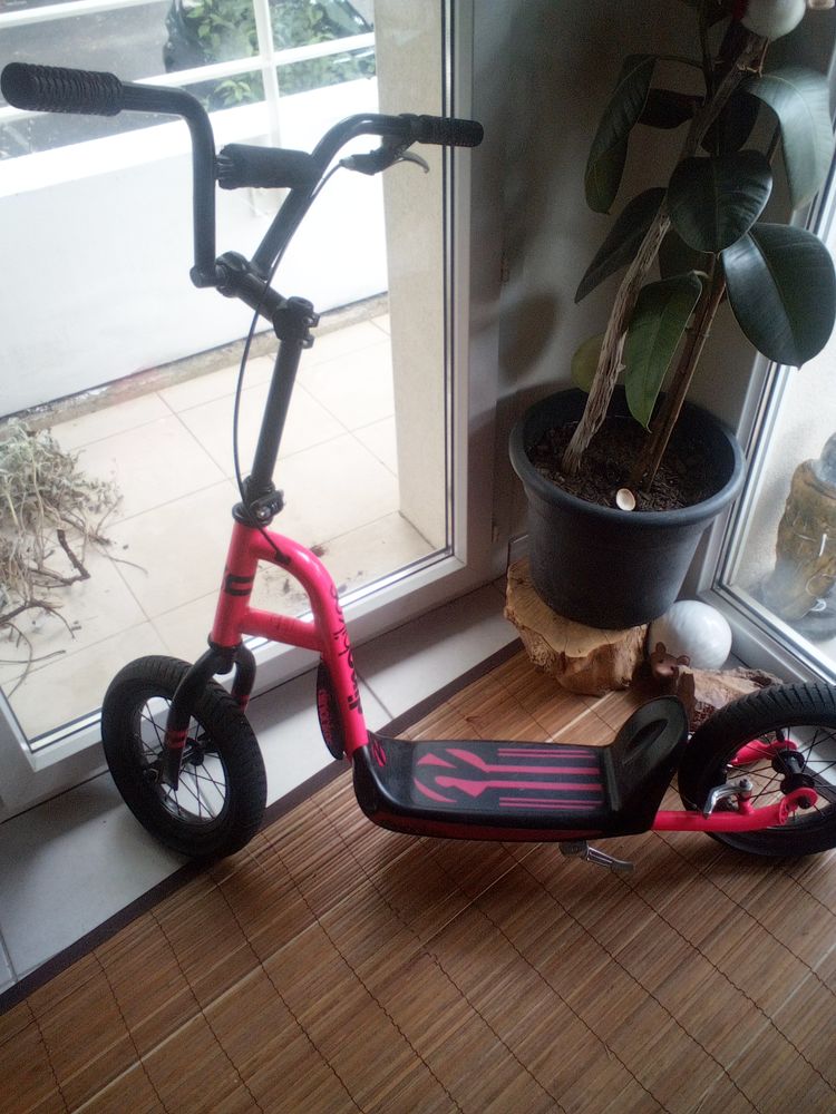 Trotinette old school 50 Bergerac (24)