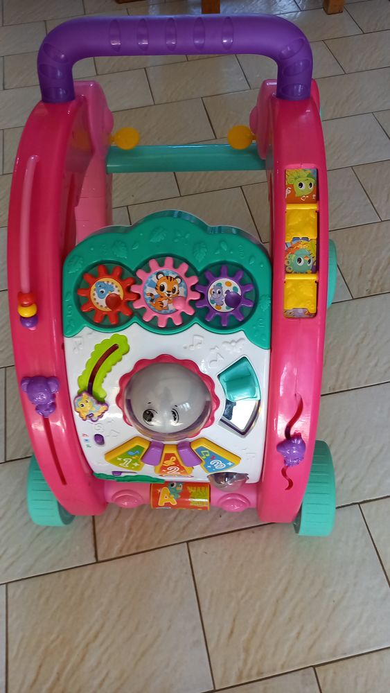 TROTTEUR MULTI-ACTIVITES 12 Villaines-les-Rochers (37)