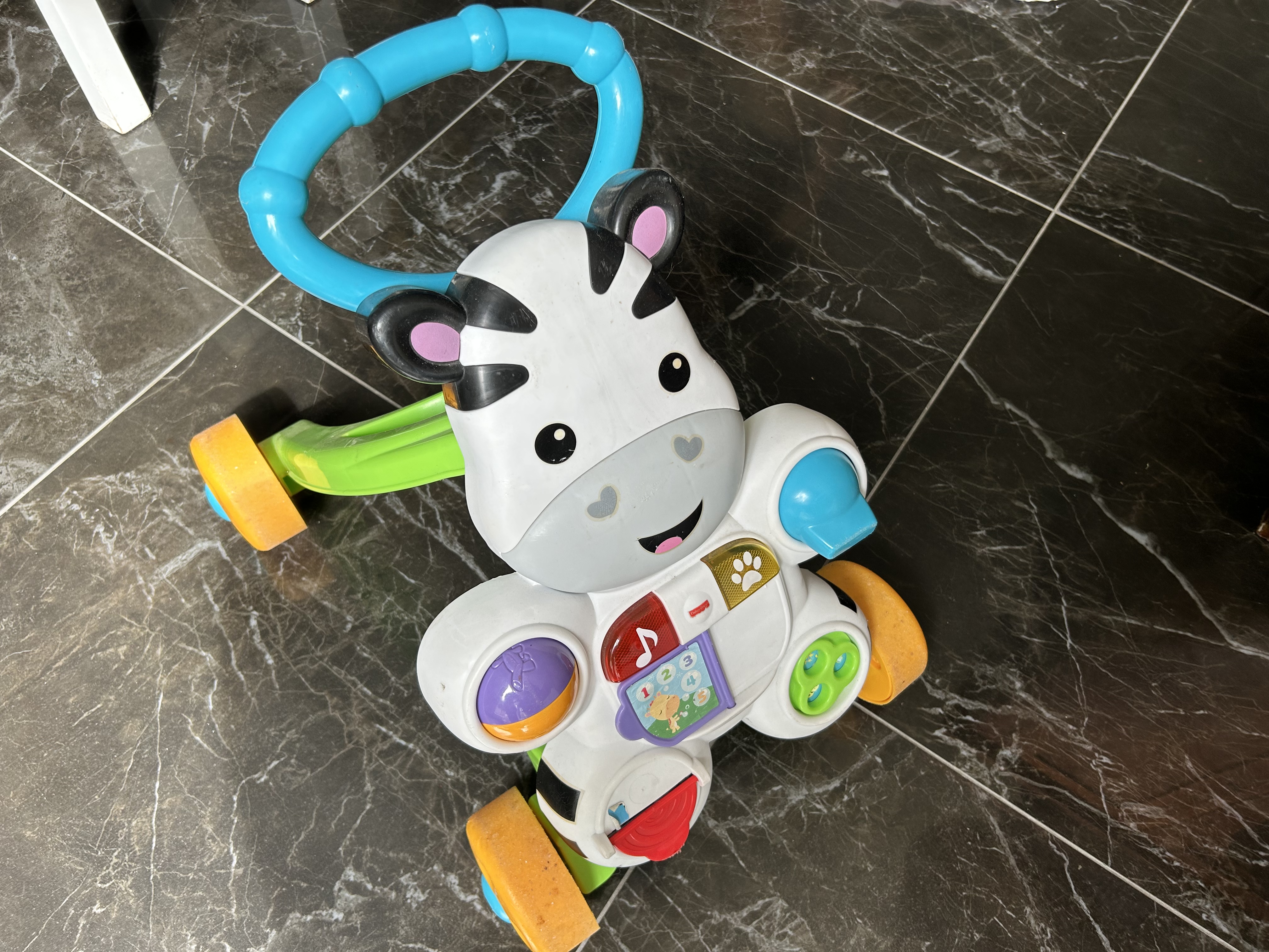 Trotteur z�bre 10 Bussy-Saint-Georges (77)