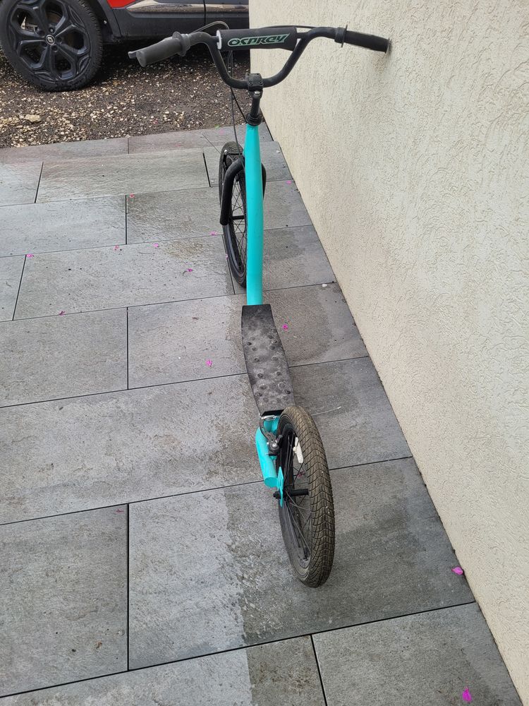 Trottinette canicross 110 Reims (51)