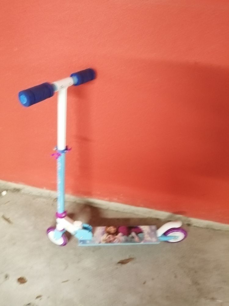 Trottinette 10 Les Ponts-de-C� (49)