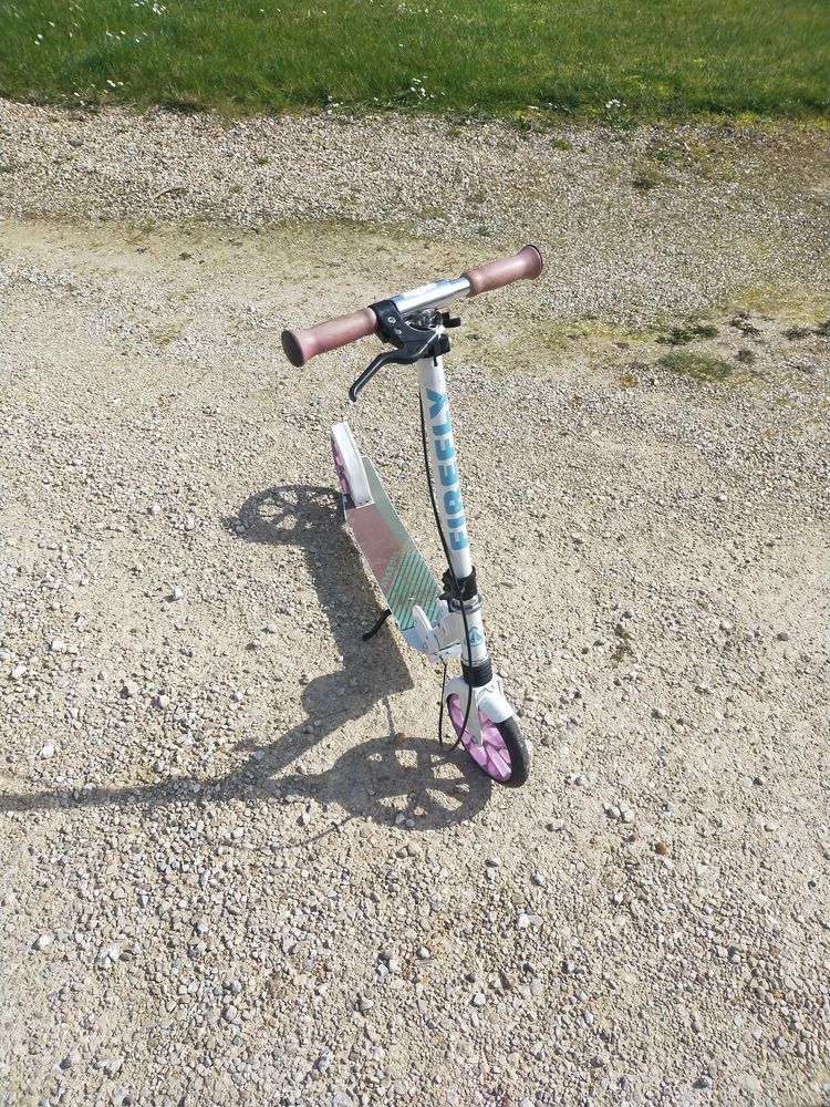 Trottinette 30 Bussy-le-Repos (89)