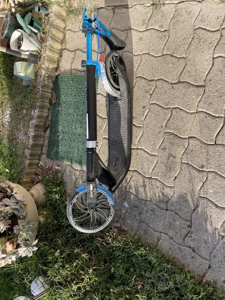 Trottinettes 55 Albi (81)