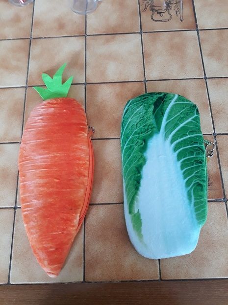 Trousse carotte choux cale scolaire rentrée ecole japon mang 4 Fèves (57)