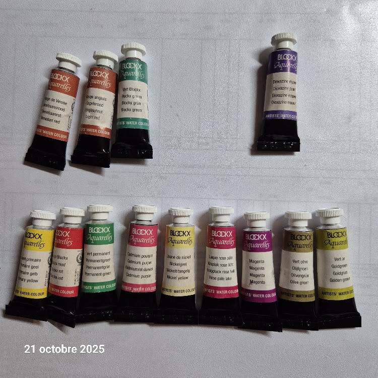 Lot de 13 tubes d' aquarelles extra-fines Tube 5 ml Blockx 55 Saumur (49)