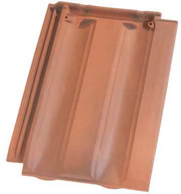 tuile  huguenot PV10 0 Rumont (55)