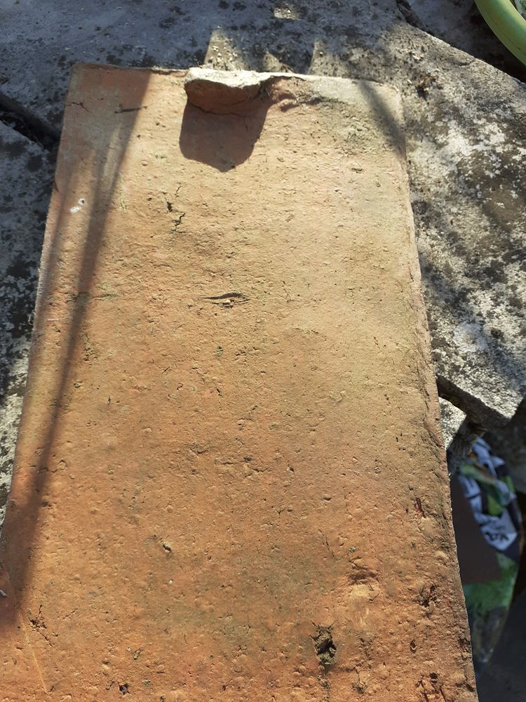 TUILES PLATES DE BOURGOGNE 0 Neuilly (58)