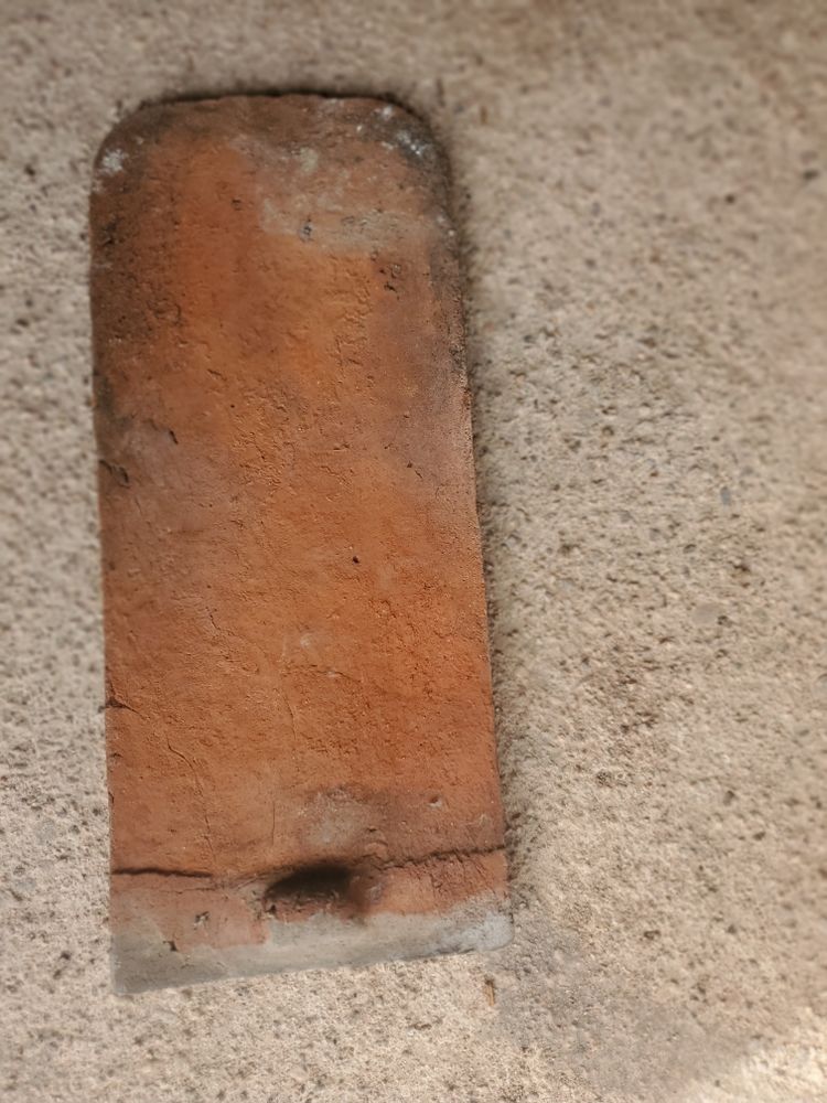 Tuiles plates en �caille anciennes 0 Saint-Di�-des-Vosges (88)