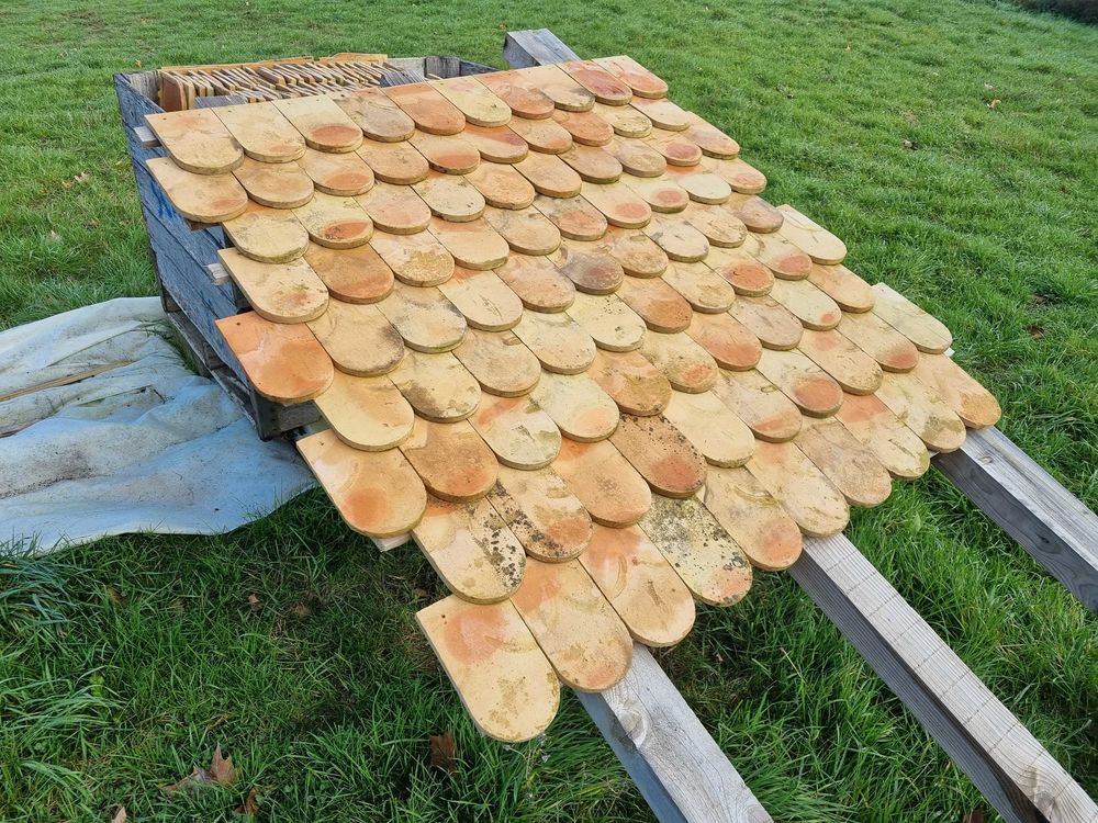 tuiles plates ecailles 25 Toulouse (31)