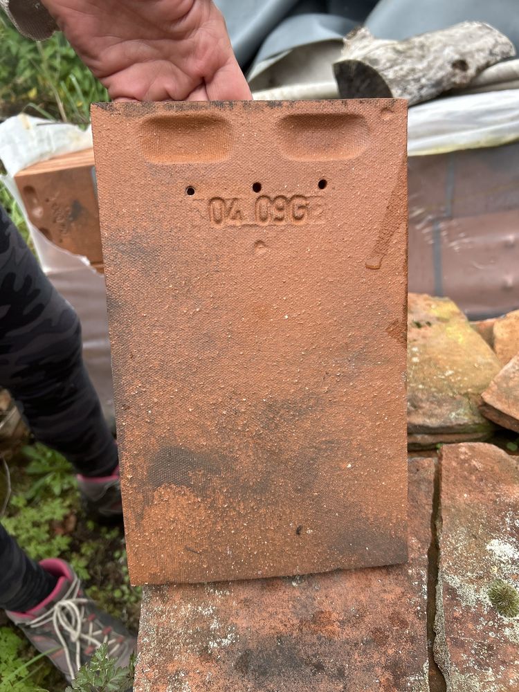 tuiles plates en terre cuite 4200 L�pin-le-Lac (73)