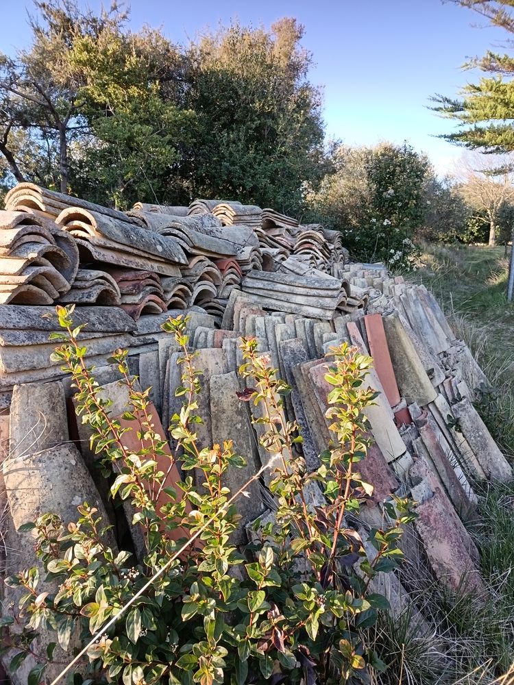 Tuiles 1000 Sauteyrargues (34)