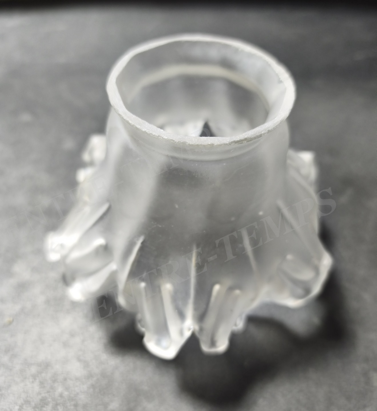 TULIPE DE LAMPE FEUILLE DE VIGNE 19 Sergines (89)