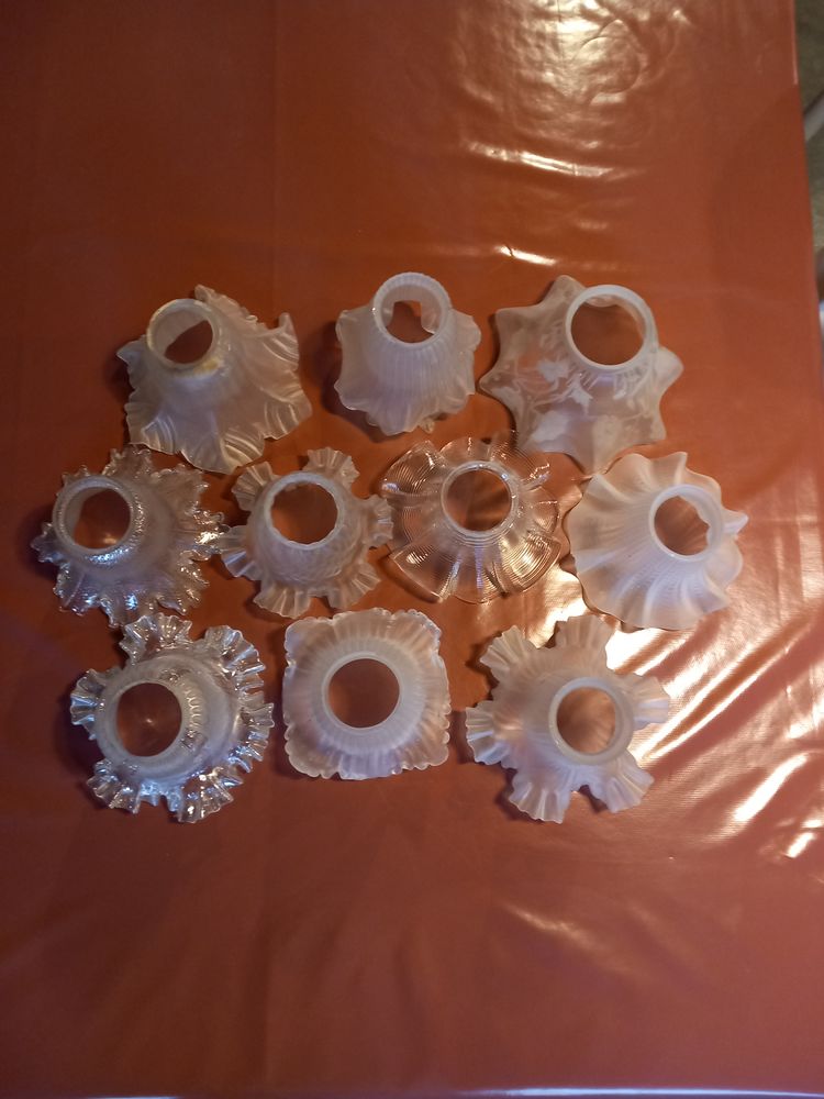 tulipes pour lampe 15 Caden (56)