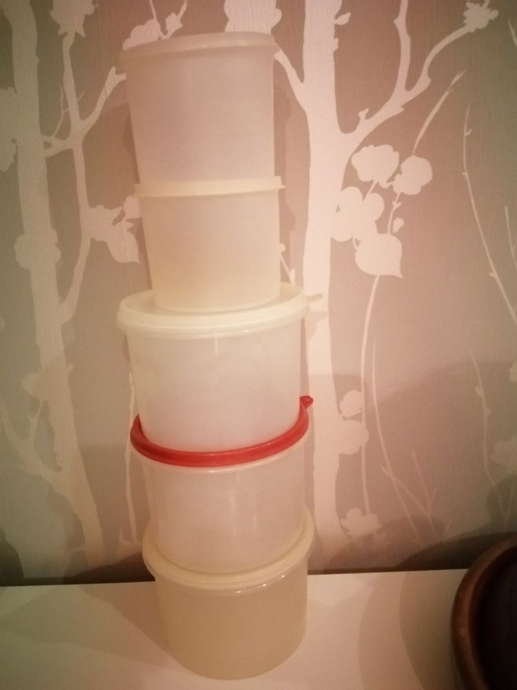 Lot de 5 tuperware 8 Vernon (27)