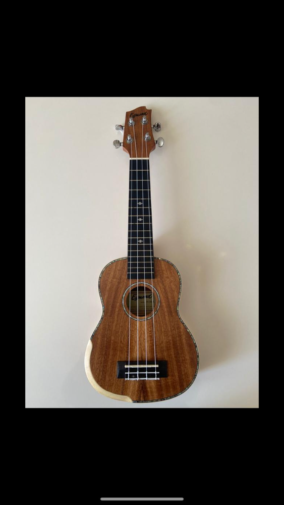 Ukul�l� soprano Haut de Gamme 45 D�cines-Charpieu (69)