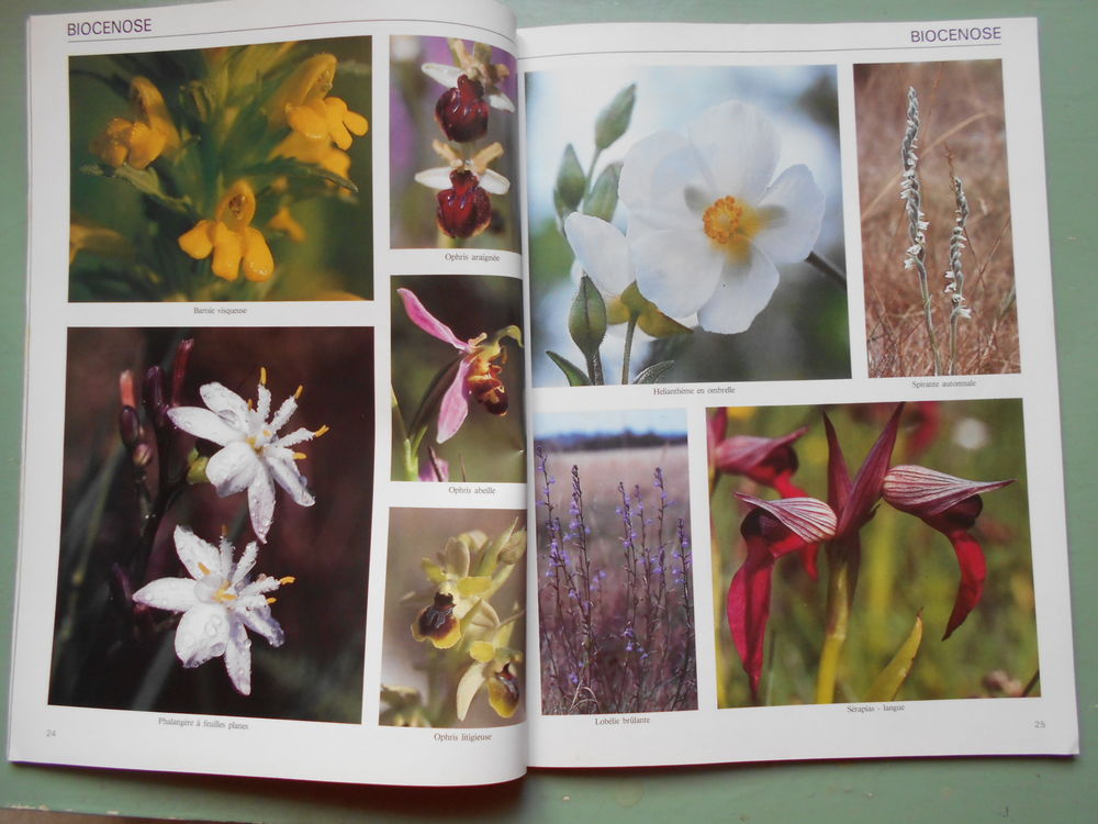 UNIVERS DU VIVANT, no 3 de septembre 1985, bon �tat. 3 Grospierres (07)