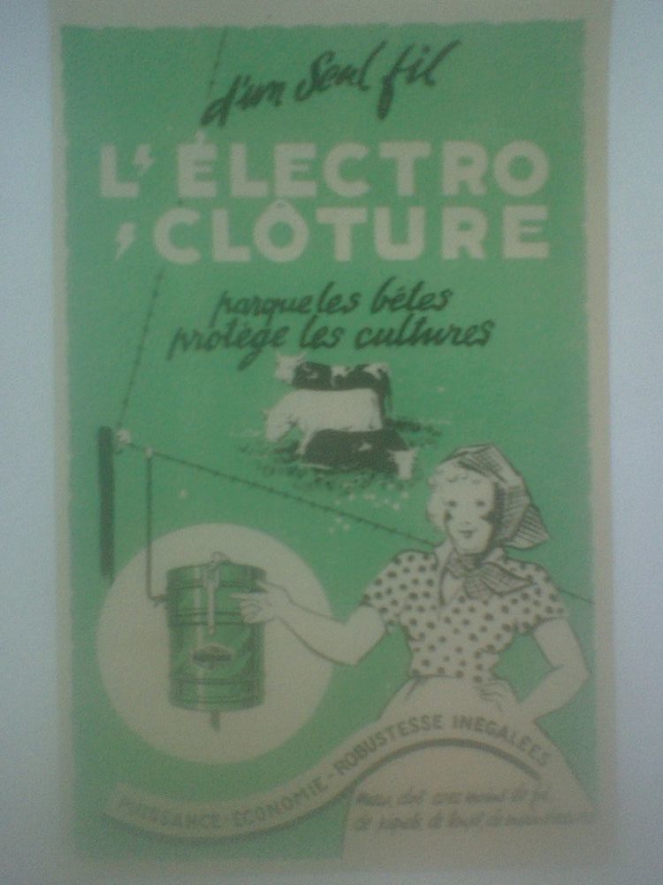 Vache Fermi�re L'Electro-Cl�ture Henri Vannier P�ronne Somme 0 N�rac (47)