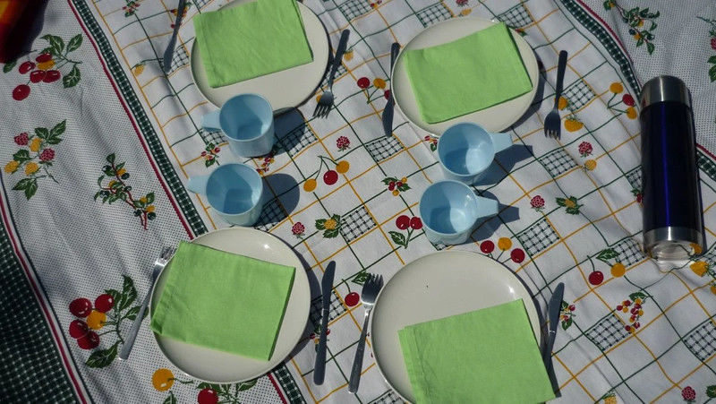 Vaisselle plein air 22 Brem-sur-Mer (85)