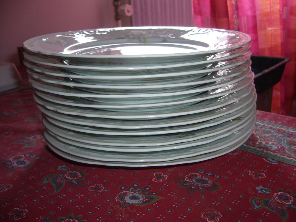 Vaisselle en porcelaine 50 Vand�uvre-l�s-Nancy (54)