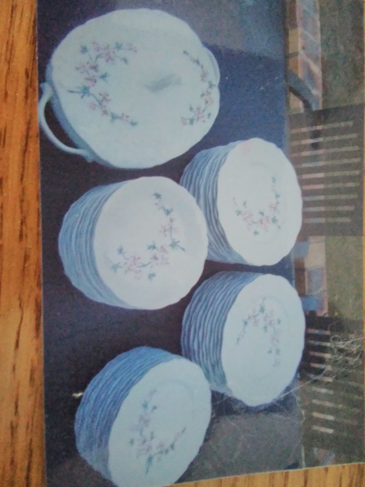 Vaisselle Service de table 300 La Turballe (44)