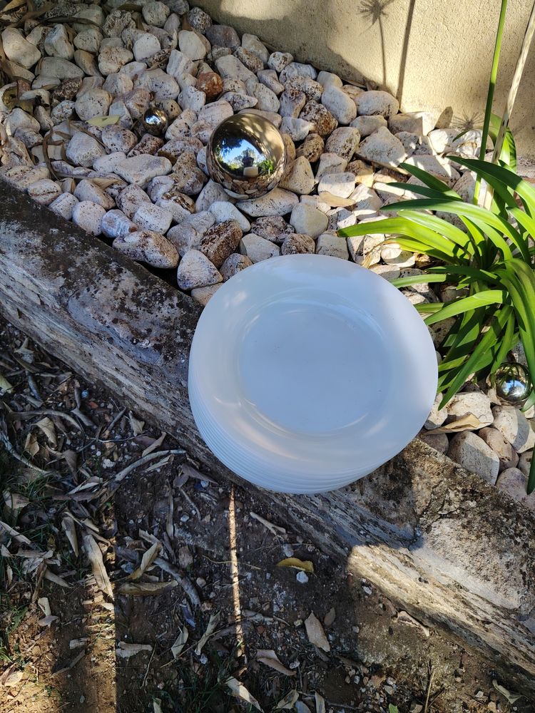 Vaisselle 0 N�mes (30)