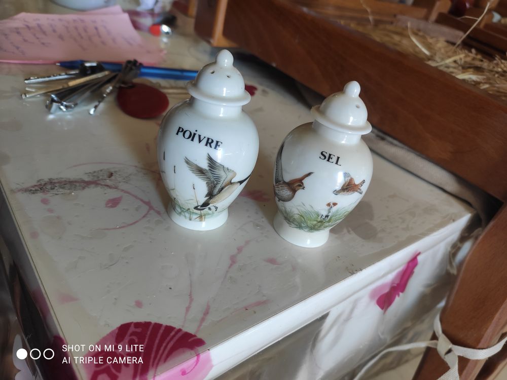 Vaisselles porcelaire de Paris 0 Neufch�tel-en-Bray (76)