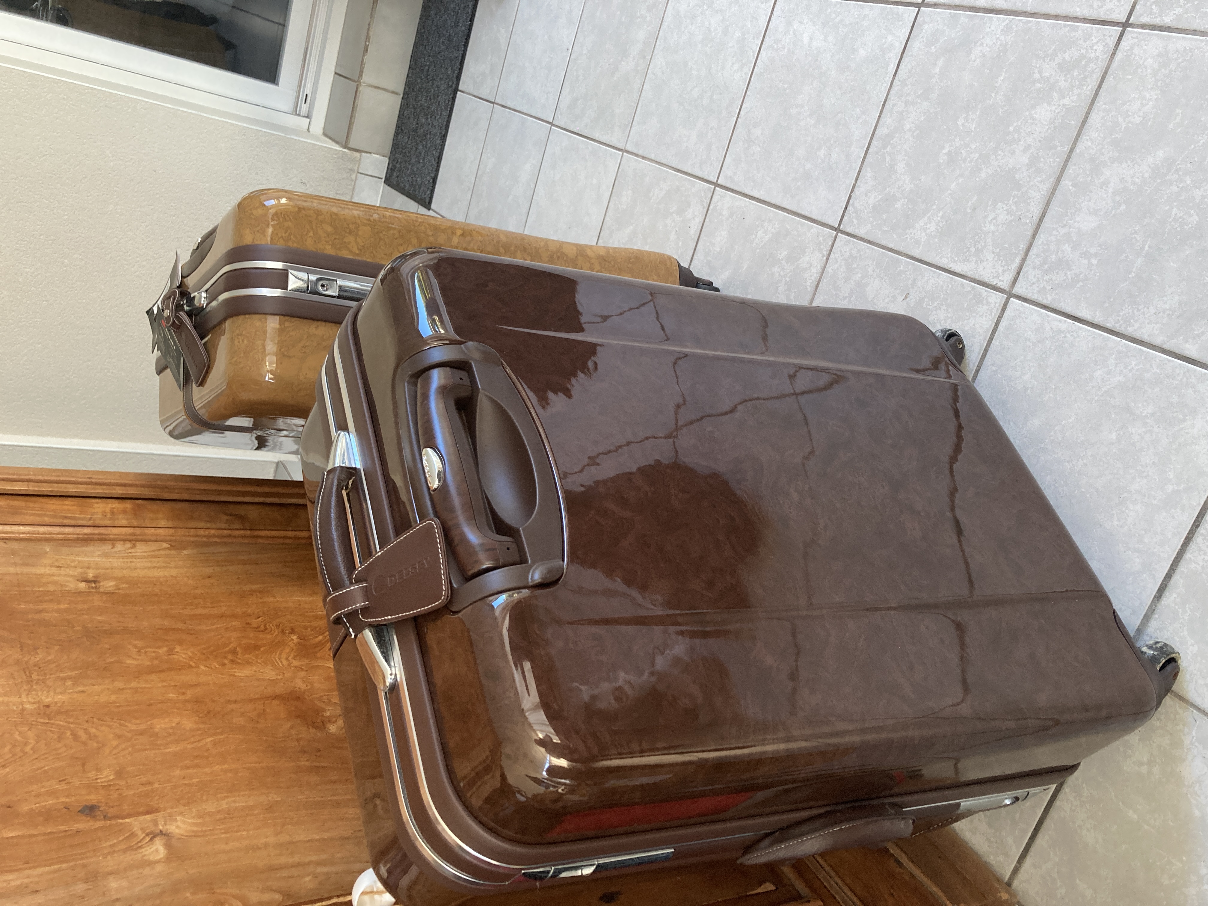 Valise Delsey Carisma grand mod�le 250 Breuillet (17)