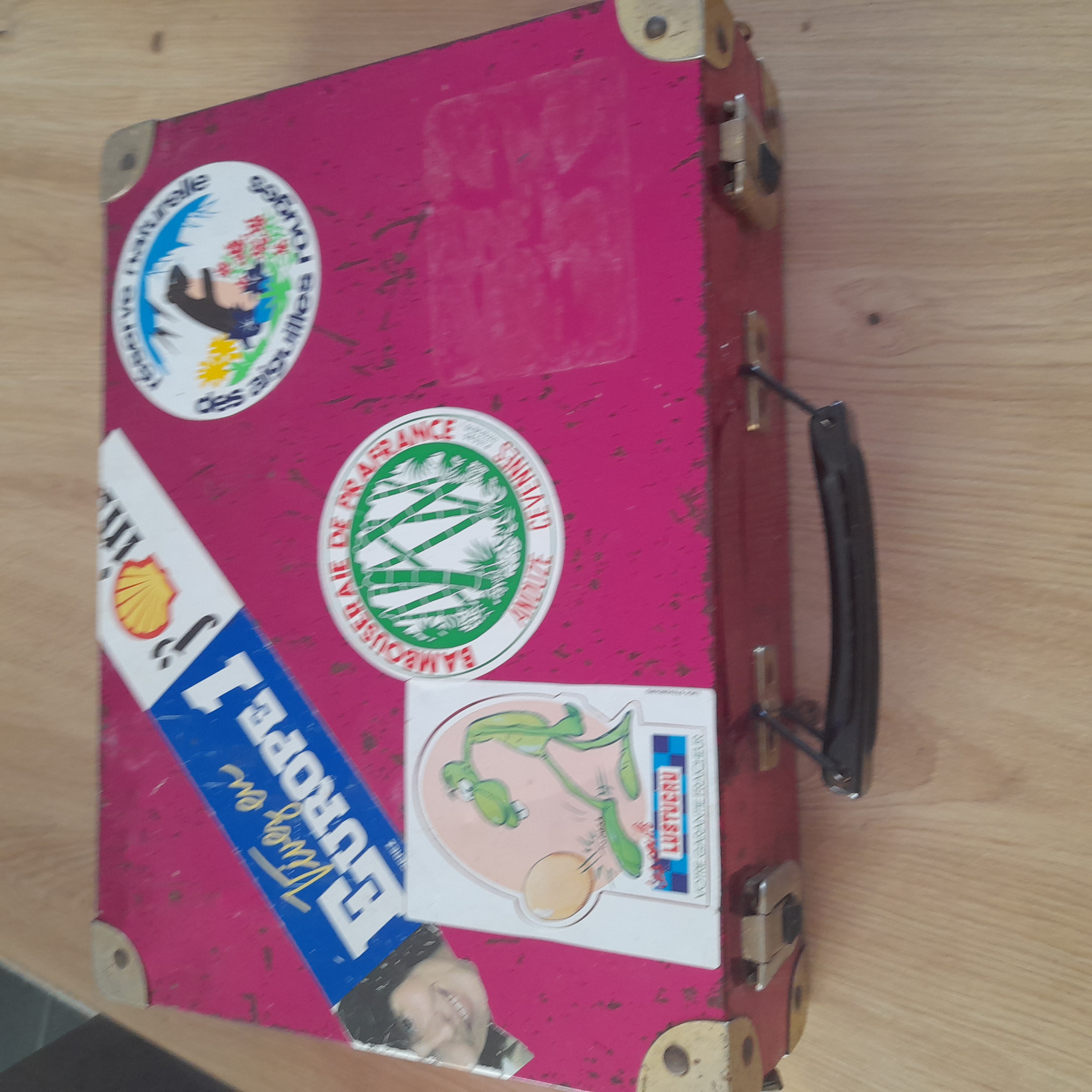 VALISE METALLIQUE vintage 3 Guitini�res (17)