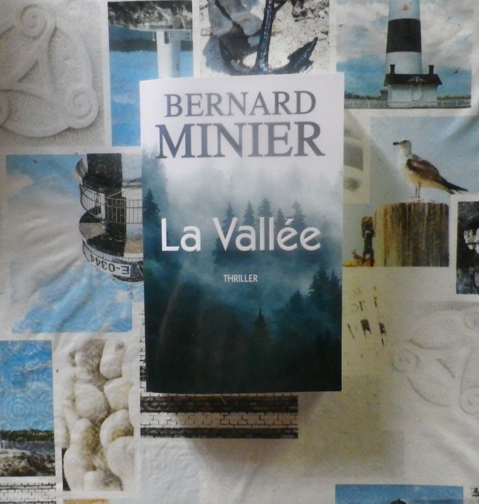 LA VALLEE de Bernard MINIER Ed. de Noyelles 10 Bubry (56)