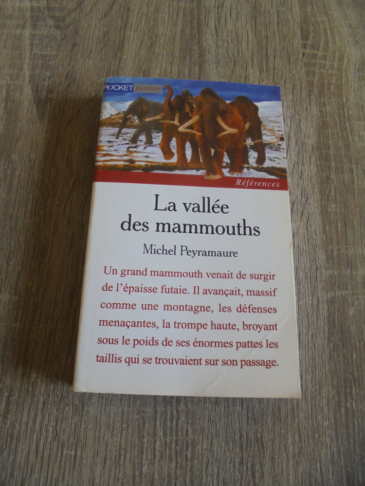 La vall�e des mammouths (106) 4 Tours (37)