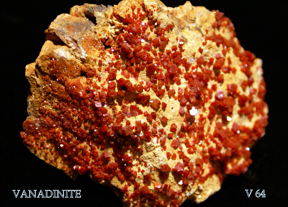 VANADINITE - MINERAUX DE COLLECTION 65 Saint-M�dard (16)