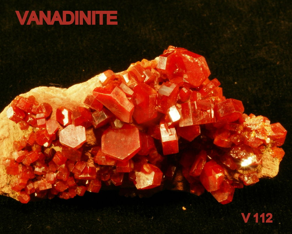 VANADINITE - MINERAUX DE COLLECTION 80 Saint-M�dard (16)