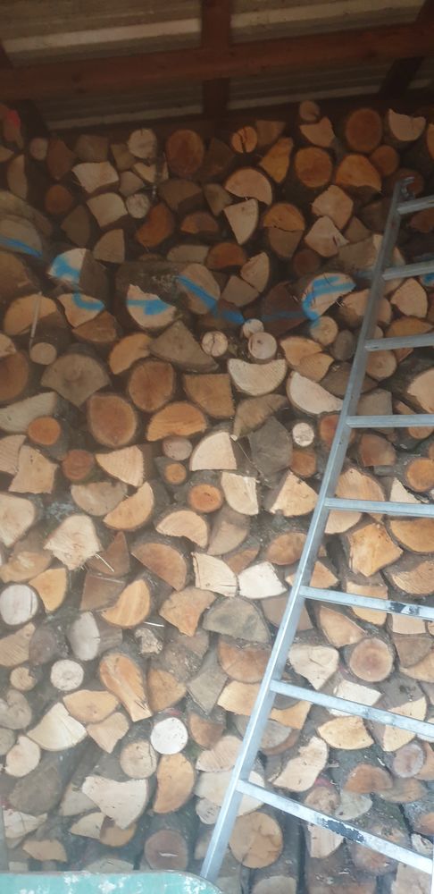 Vand bois couper en 50cm 85 La Motte-Servolex (73)